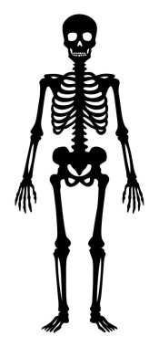 İskelet silueti çizimi. Cadılar Bayramı için çizgi film karakteri