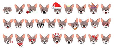 Amerikalı çıplak korkunç büyük set kafaları farklı duygular ve farklı nesnelerle köpekler.