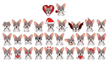 Amerikan çıplak Terrier köpekleri. Gri kukla farklı duygular ile.