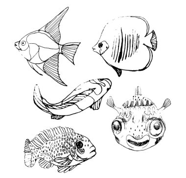 balıklar kümesi üzerinde izole beyaz arka plan skeçler