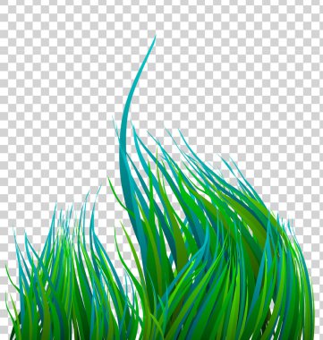 saydam arka plan üzerinde sallanan yeşil çimen