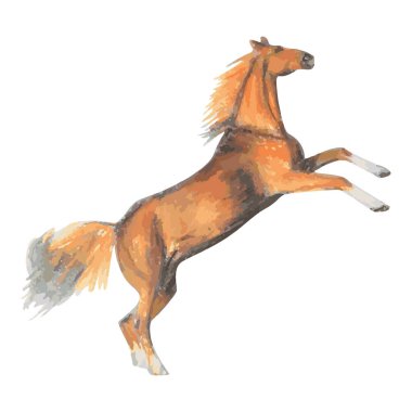 Kuzukulağı Amerikan çeyrek ATI ayakta yan görünümü