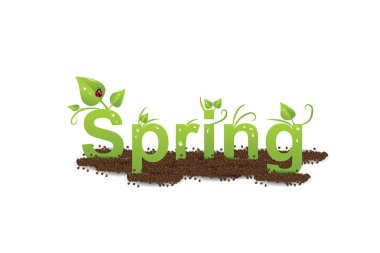 damla su, yaprak, uğur böceği ve dünya ile yeşil bahar letterig. 