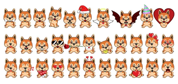 Akita Inu köpekleri yürekleri oturan