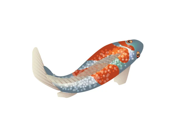 Kolorowe Ryby Wagi Jasne Przejrzyste Żebra — Wektor stockowy