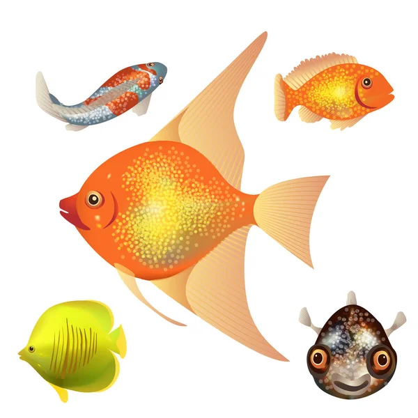 Różne Rodzaje Ryb Kolorowy Wagi Jasne Przejrzyste Żebra — Wektor stockowy