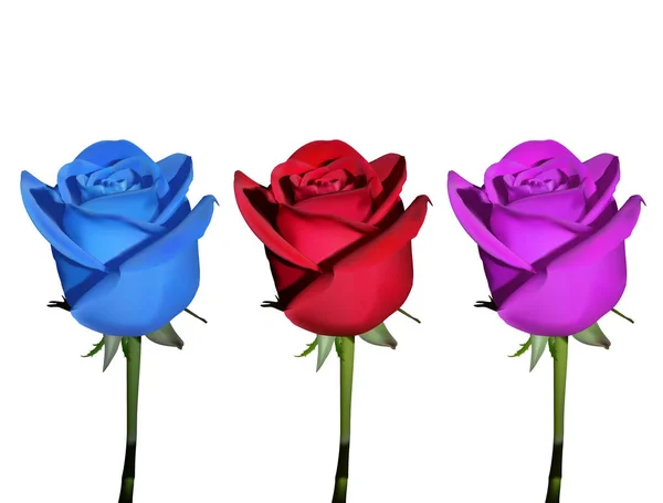 Jogo Três Rosas Cores Diferentes Azul Vermelho Rosa —  Vetores de Stock