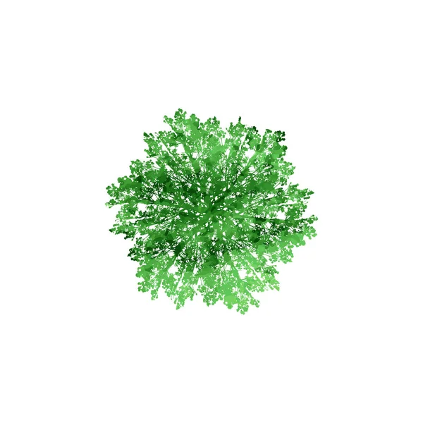 Silueta Árbol Con Hojas Que Repiten Círculo Salpicadura Acuarela Verde — Vector de stock