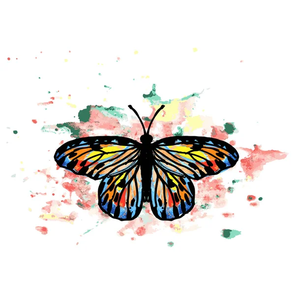 Mariposa Grande Con Manchas Acuarela Multicolores — Vector de stock