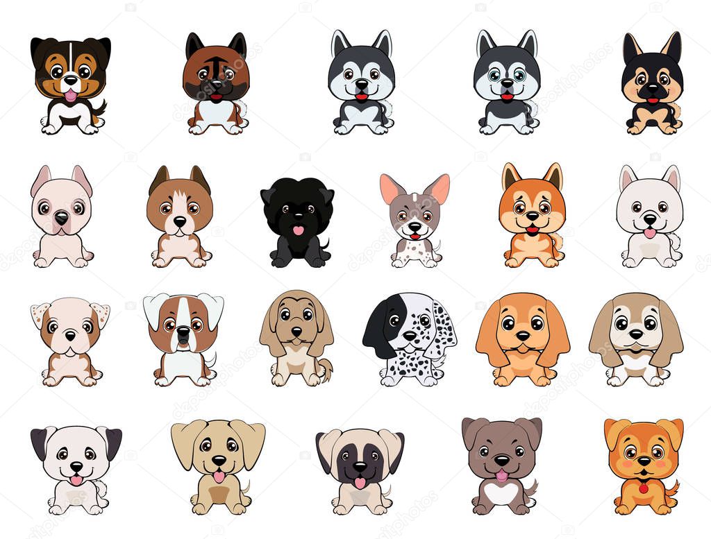 Set of dogs of different breeds, puppies of different colors, types of ears, muzzles.
