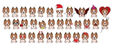 Staffordshire Terrier köpek. Farklı küçük köpekler büyük kümesi. Kahverengi kukla farklı duygular ile.