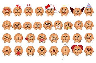 İngiliz Cocker Spaniel köpek. Farklı küçük köpekler büyük kümesi. kukla farklı duygular ile.