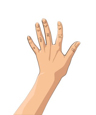 Erkek ve kadın s el hareketleriyle. Çak bir beşlik için büyük iş veren. Dostluk, büyük iş başarı sembolü. Hoşgeldiniz işaretleri, adamım, kadın, denetim sembolü, sipariş. Vektör çizim