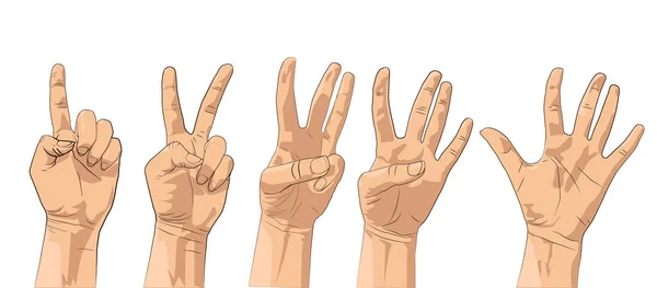 Set Hands Gestures Count One Two Three Four Five — Stock Vector