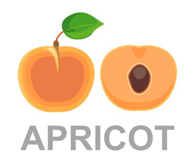 Kayısı simgesi tamamen ve bir kesim. beyaz bir arka plan üzerinde olgun kayısı