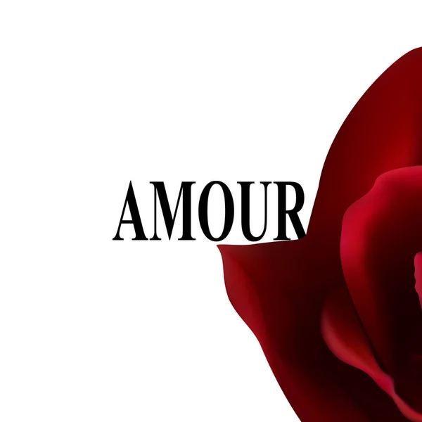 Amour Auf Rosa Hintergrund Stieg Für Die Gestaltung Von Shirts — Stockvektor