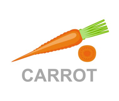 Havuç vektör Illustration. renkli sebze kavramı. Taze gıda.  