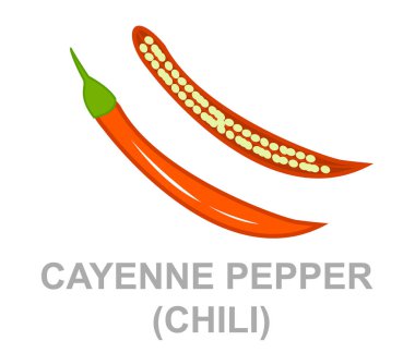 Cayenne biber vektör Illustration. renkli sebze kavramı. Taze gıda.  