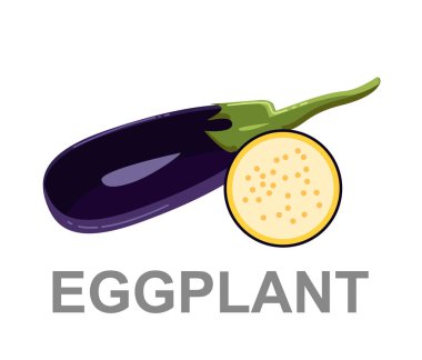 Eggplant vektör Illustration. renkli sebze kavramı. Taze gıda.  