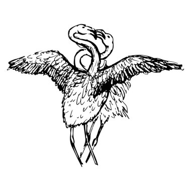 iki öpüşme flamingas kroki