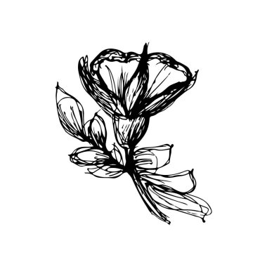 Beyaz arka plan üzerinde basit çiçek