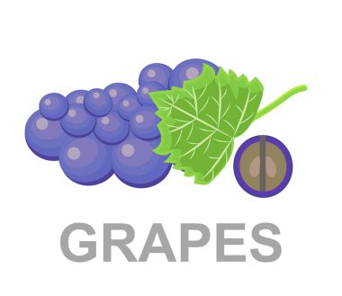 Üzüm simgesi tamamen ve bir kesim. üzüm simge, vektör meyve illüstrasyon, doğa şarap