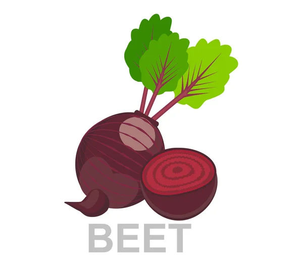 Illustrazione Vettoriale Della Barbabietola Concetto Vegetale Colorato Alimenti Freschi — Vettoriale Stock