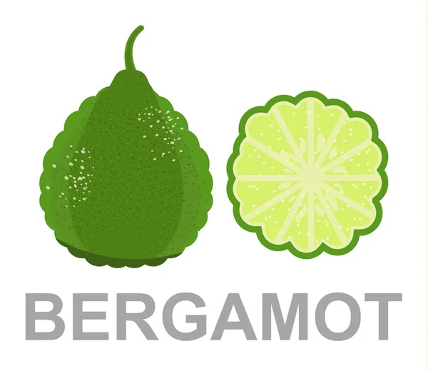 Bergamot Simgesi Tamamen Bir Kesim — Stok Vektör