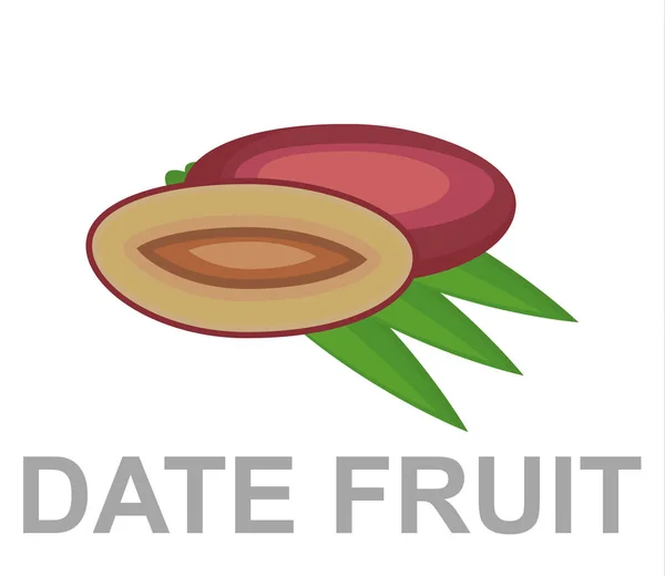 Fecha Icono Fruta Por Completo Corte — Vector de stock