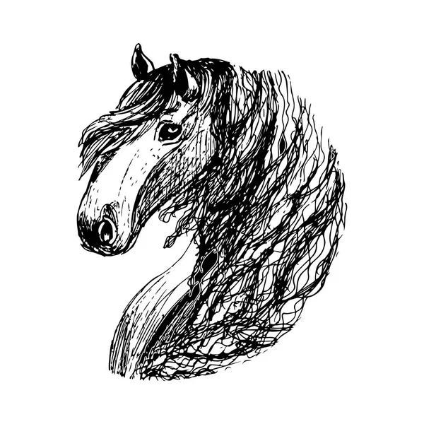 Magisches Pferd Illustration Isoliert Auf Weißem Hintergrund — Stockvektor