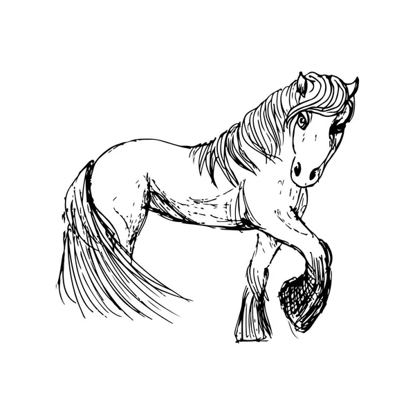 Magický Kůň Ilustrace Izolovaný Bílém Pozadí — Stockový vektor
