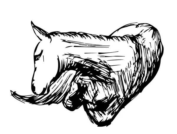 Magisches Pferd Illustration Isoliert Auf Weißem Hintergrund — Stockvektor