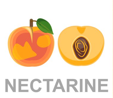 Nektarin simge tamamen ve bir kesim