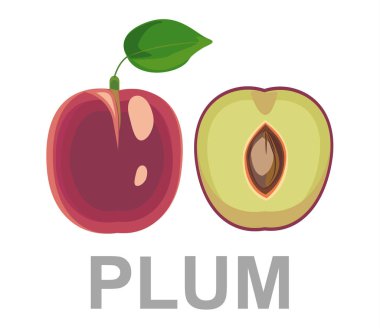 Erik simge tamamen ve bir kesim