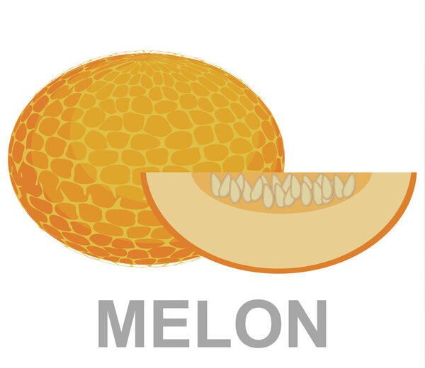 Melon icon entirely and in a cut