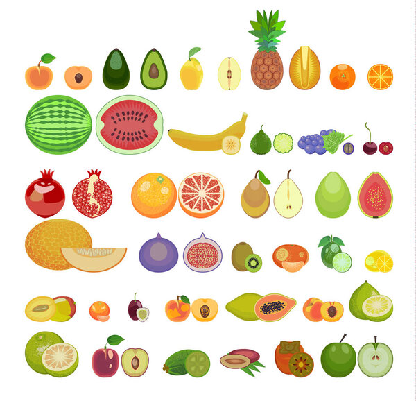 set of vegetables. thirty two  kinds of vegetables are whole and in a cut.Square of colored vegetables. Fresh food. Pumpkin, Cabbage, Blockley, kohlrabi, cauliflower, Brussels, beets, asparagus, corn