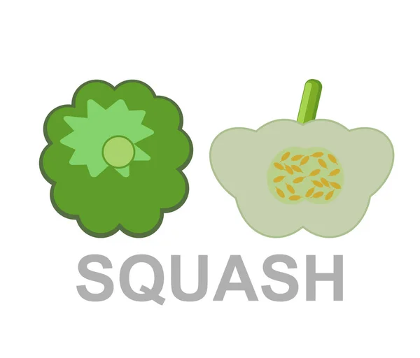 Symbol Squash Ganz Und Schnitt — Stockvektor