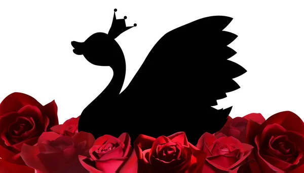 Schwarzer Schwan Mit Krone Schwimmt Knospen Roter Rosen — Stockvektor