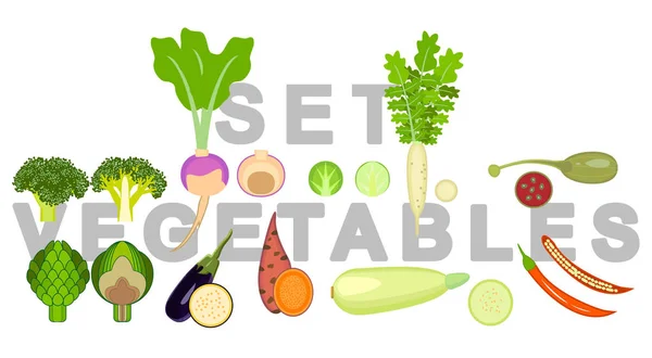 Gemüsesorten Zweiunddreißig Arten Von Gemüse Sind Ganz Und Einem Cut — Stockvektor