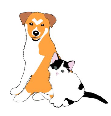 Beyaz arka planda kedi ve köpek