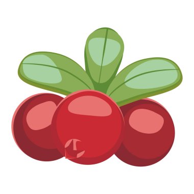 Cowberry Lingonberry Vaccinium vitis-idaea beyaz arka plan üzerinde izole.