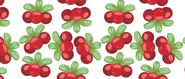 Pattern with Cowberry Lingonberry — Stock Vector