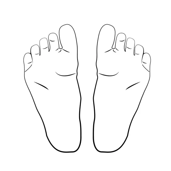 Illustration of the girl 's foot in black lines . — стоковый вектор