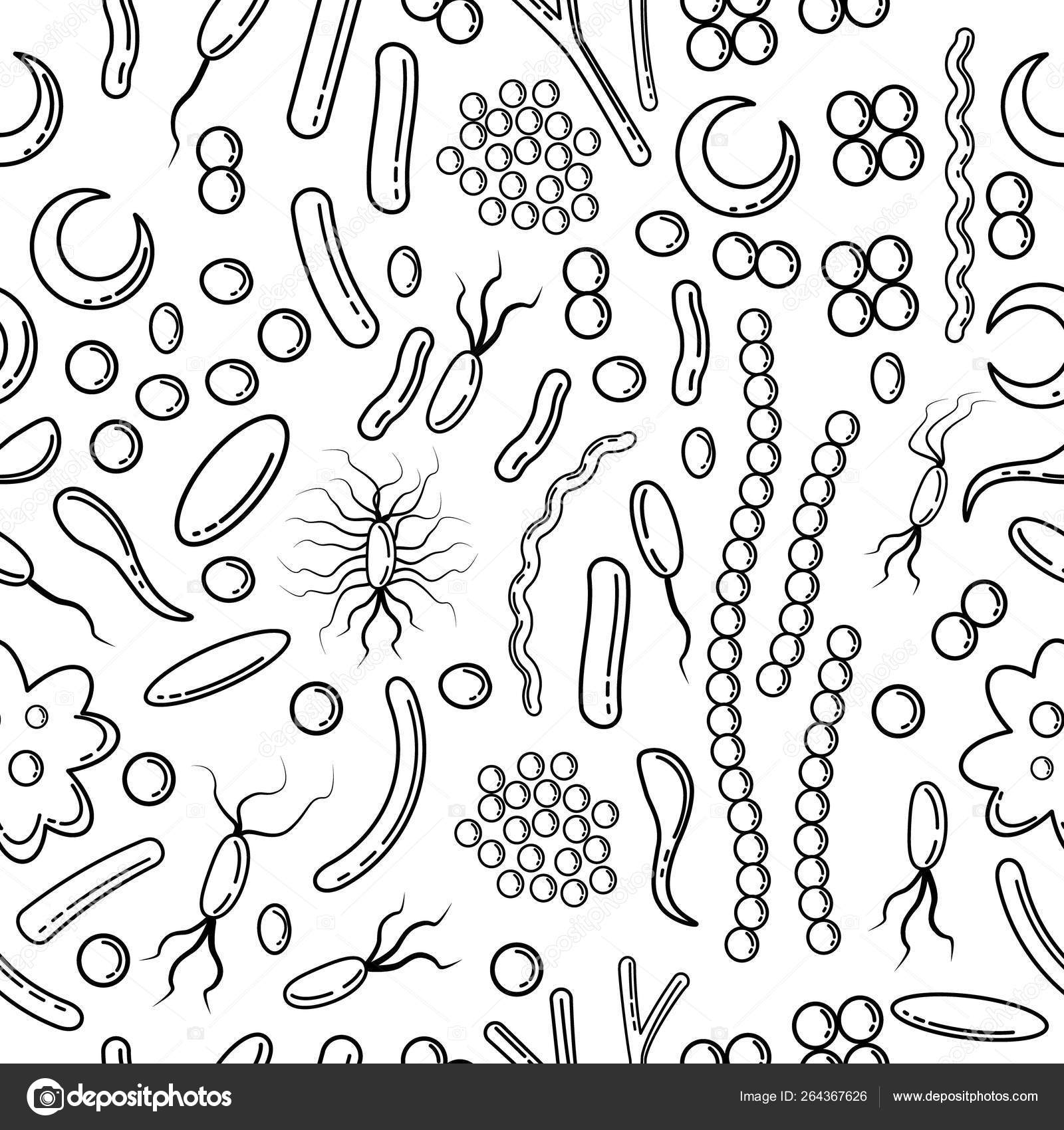 Бактерии карандашом