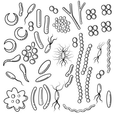 farklı türde bakterilerin skeçler bir dizi