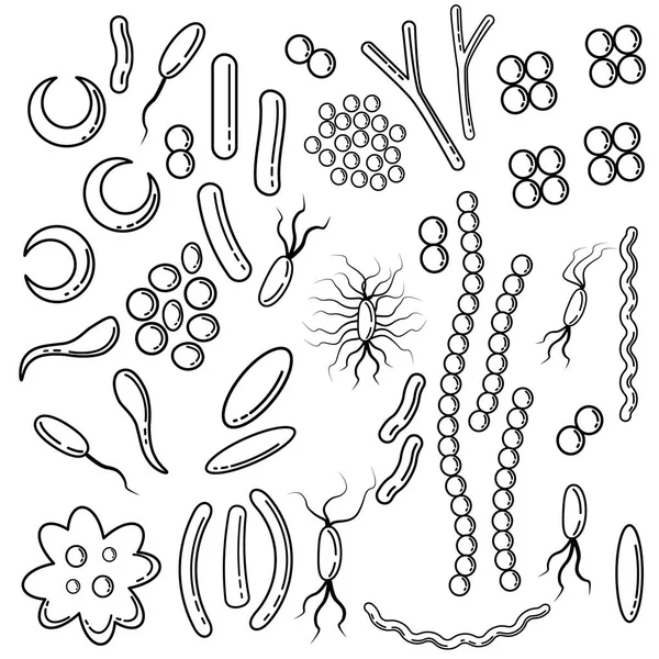 Un conjunto de bocetos de bacterias de diferentes tipos — Vector de stock