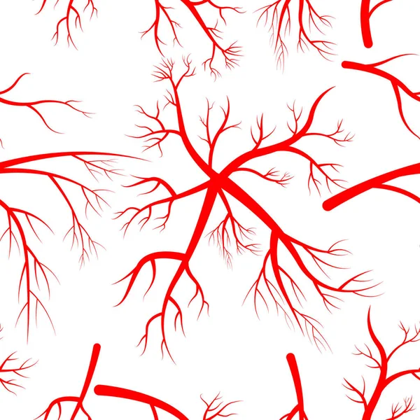 Modèle avec artères humaines . — Image vectorielle