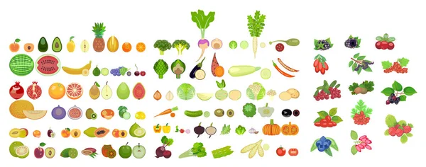 Ensemble d'icônes de fruits, légumes et baies de différentes espèces sont entiers et dans la section . — Image vectorielle