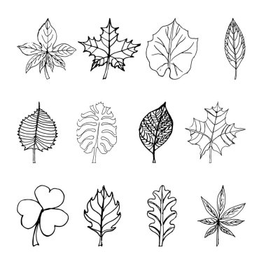 yaprakları ile eskiz kümesi