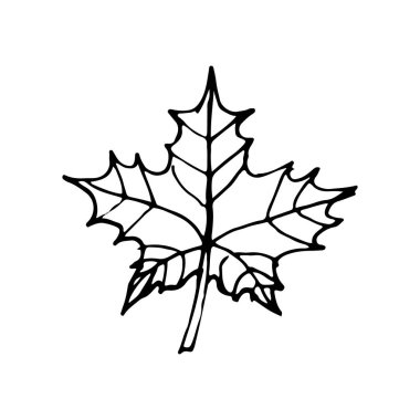 Doodle Leave Sketch çizgi illüstrasyon